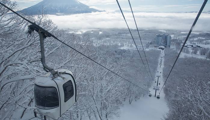 新雪谷村滑雪度假村