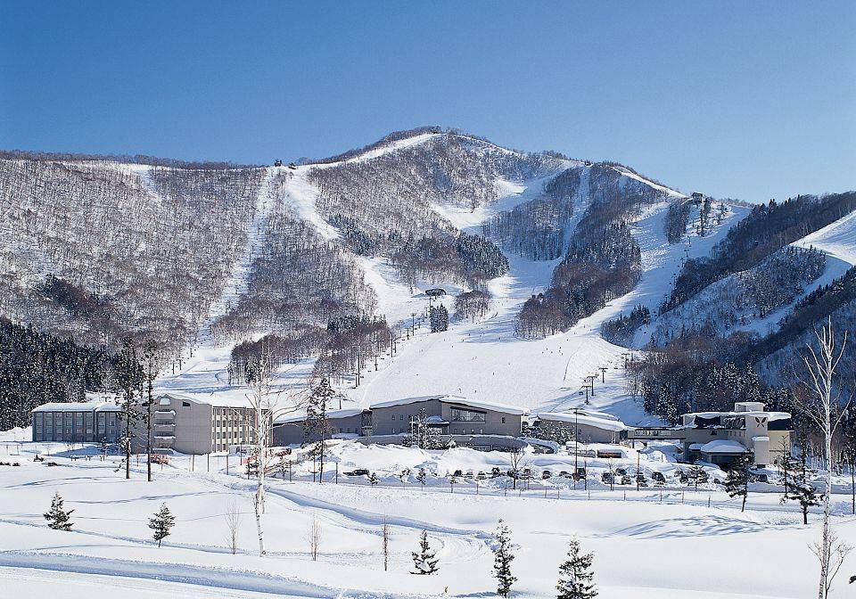 斑尾高原滑雪五日遊