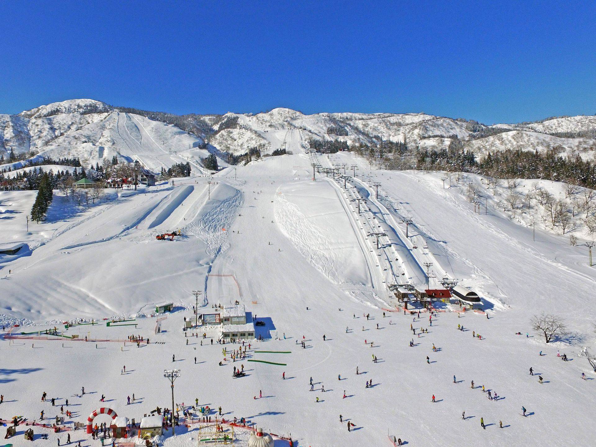 旅宿到雪場Ski in/out（上越國際雪場）