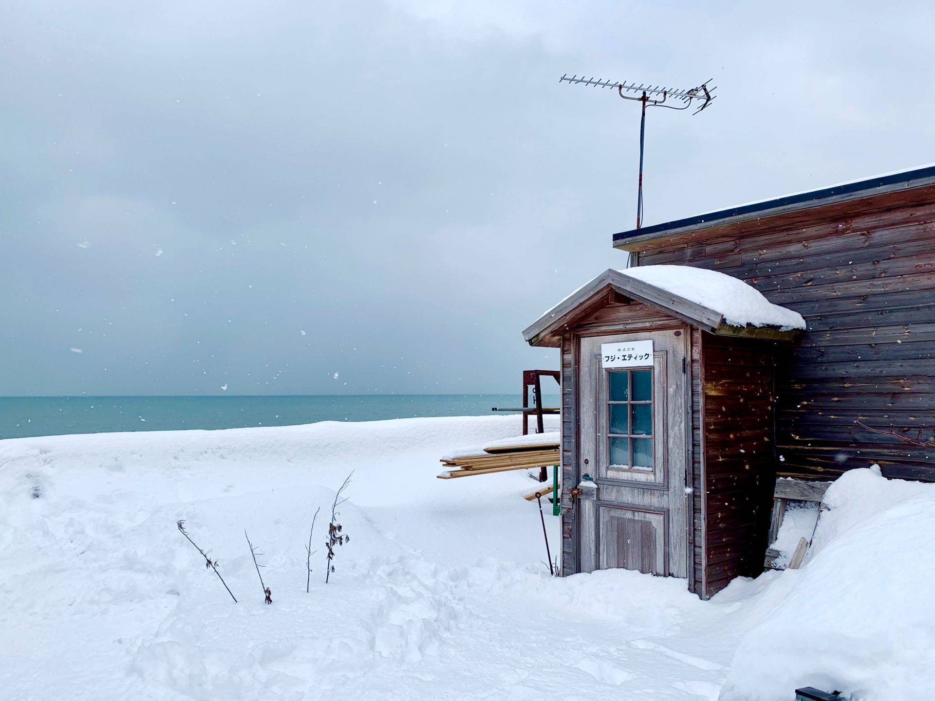 【北海道旅遊】冬季破冰船、丹頂鶴、旭山動物園、浪漫小樽、三大螃蟹美人湯六日|三晚溫泉