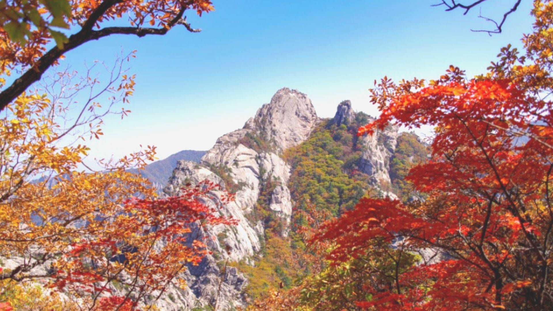 【首爾出發】江陵秋季限定賞楓韓屋體驗兩天一夜團