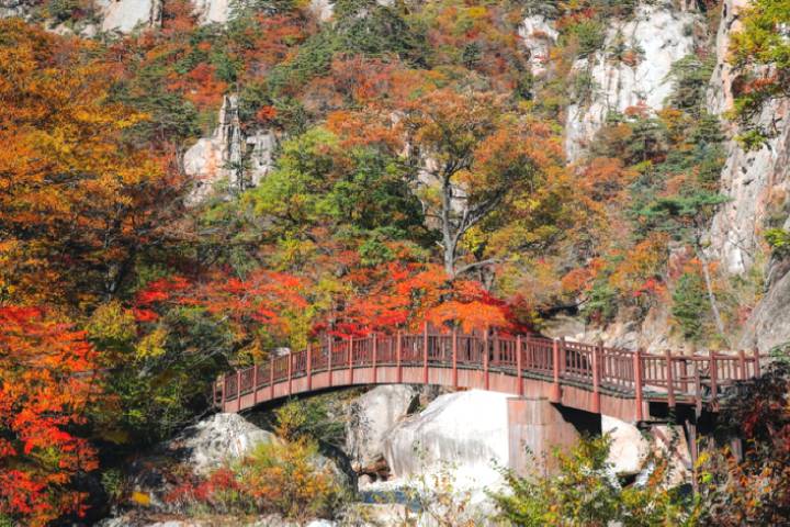 【首爾出發】束草+雪嶽山秋季限定賞楓一天團