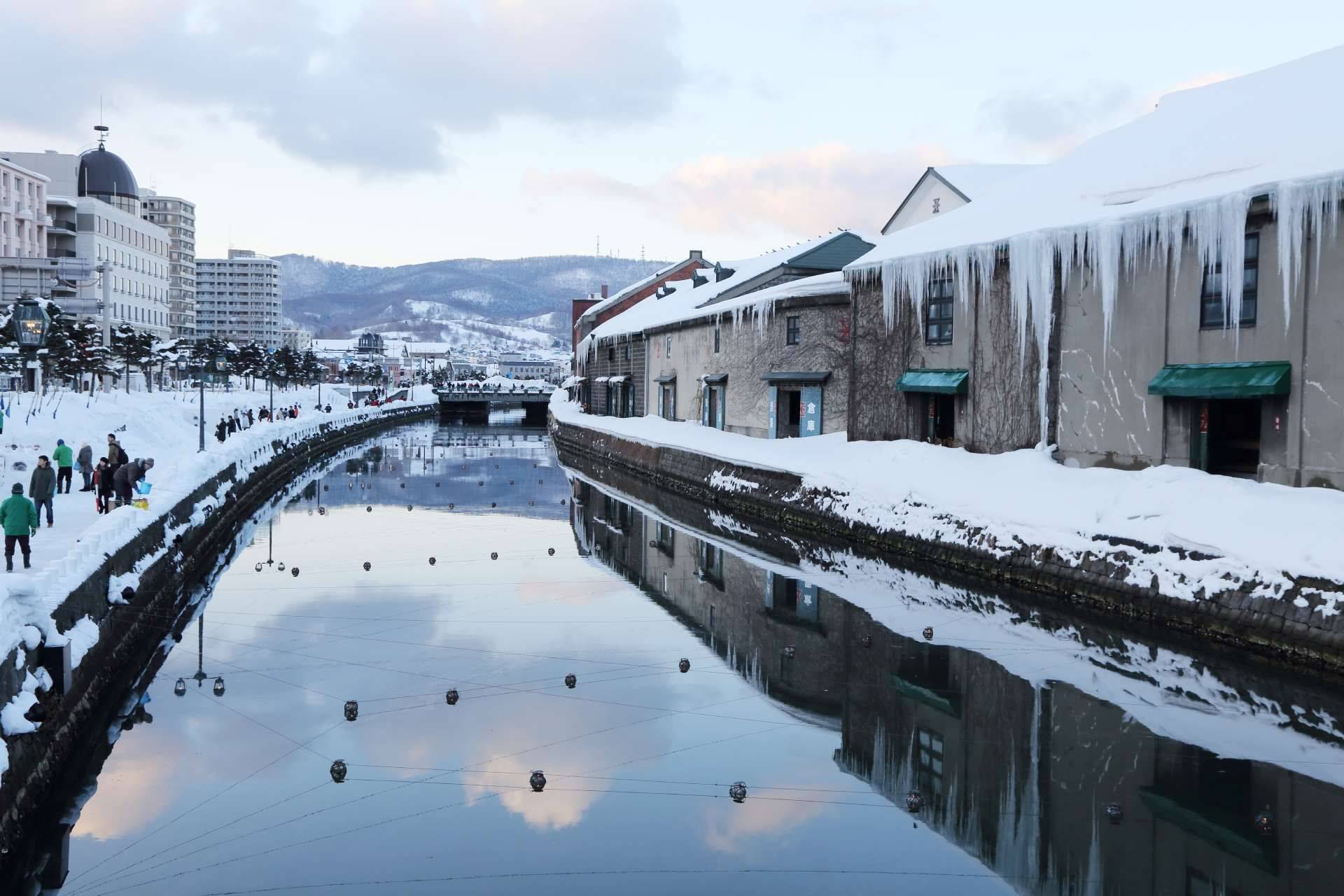 【日本冬季賞雪】