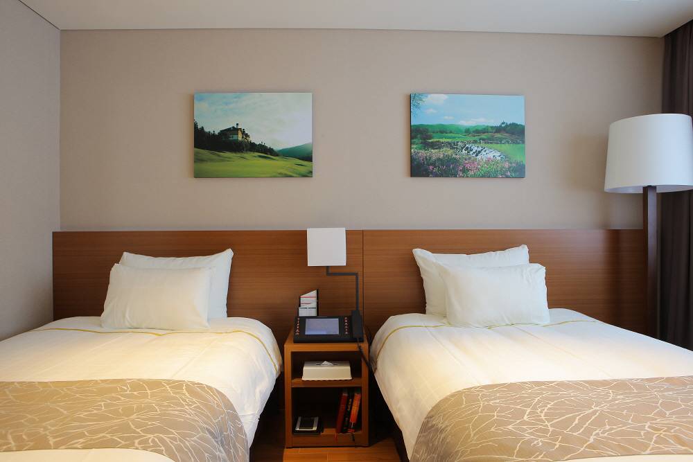 龍平龍谷酒店(Yongpyong dragon valley hotel)