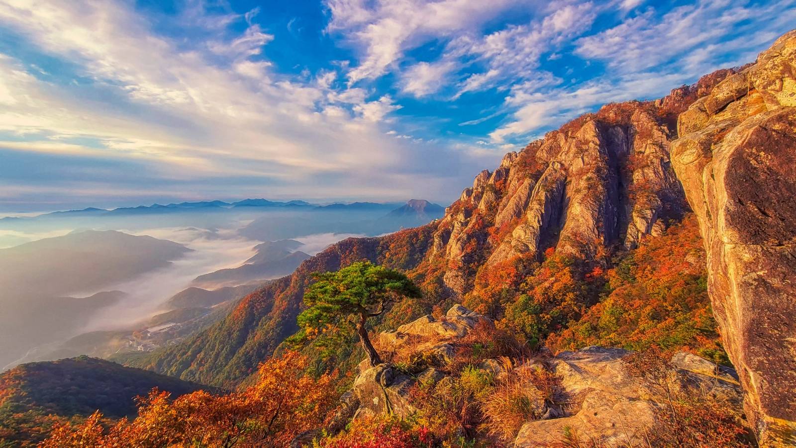 【首爾出發】大芚山賞楓一日遊 (4人成行)
