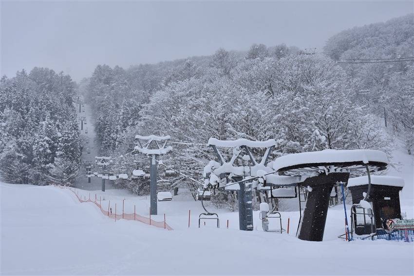 【主題旅遊】FUN_SKI滑雪趣_王子集團直營!東北三大雫石滑雪5日遊
