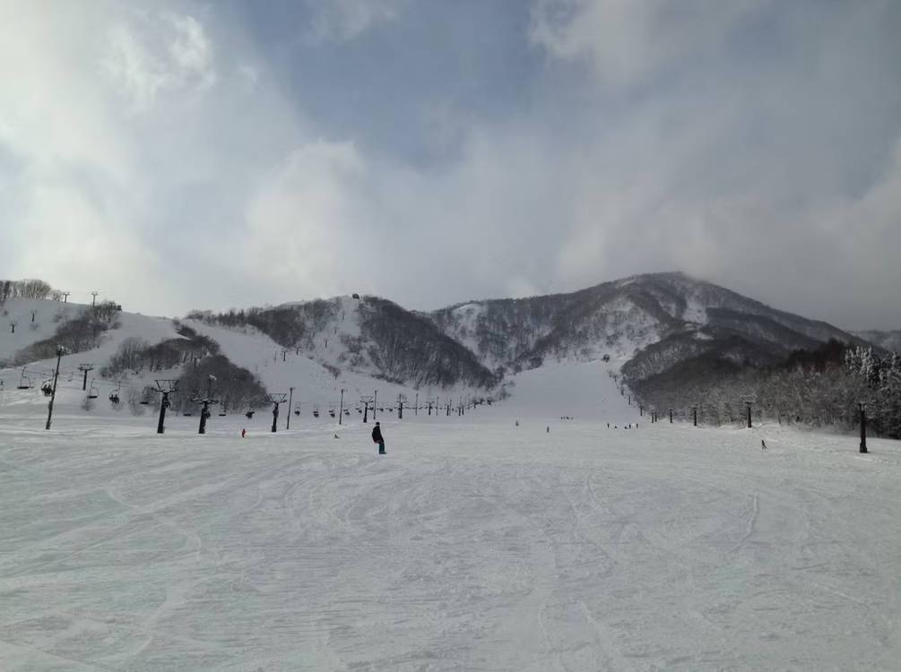 【主題旅遊】白馬乘鞍.國際雙雪場滑雪五日遊