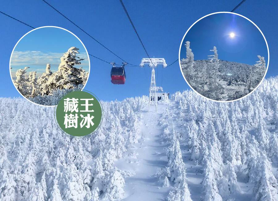 【雪夢幻東北三溫泉5日】藏王樹冰纜車、銀山溫泉、雪中會津鐵道、採果樂、雪上活動、米澤牛(仙台進出)
