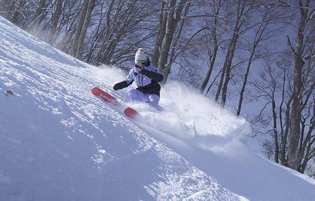 【主題旅遊】SBC_Resort木島平.浪漫之神滑雪五日遊