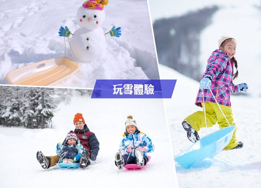 【泰夢幻東京玩雪溫泉5日】富士山景觀纜車、採草莓體驗、忍野八海、海賊船、箱根神社(泰獅航）