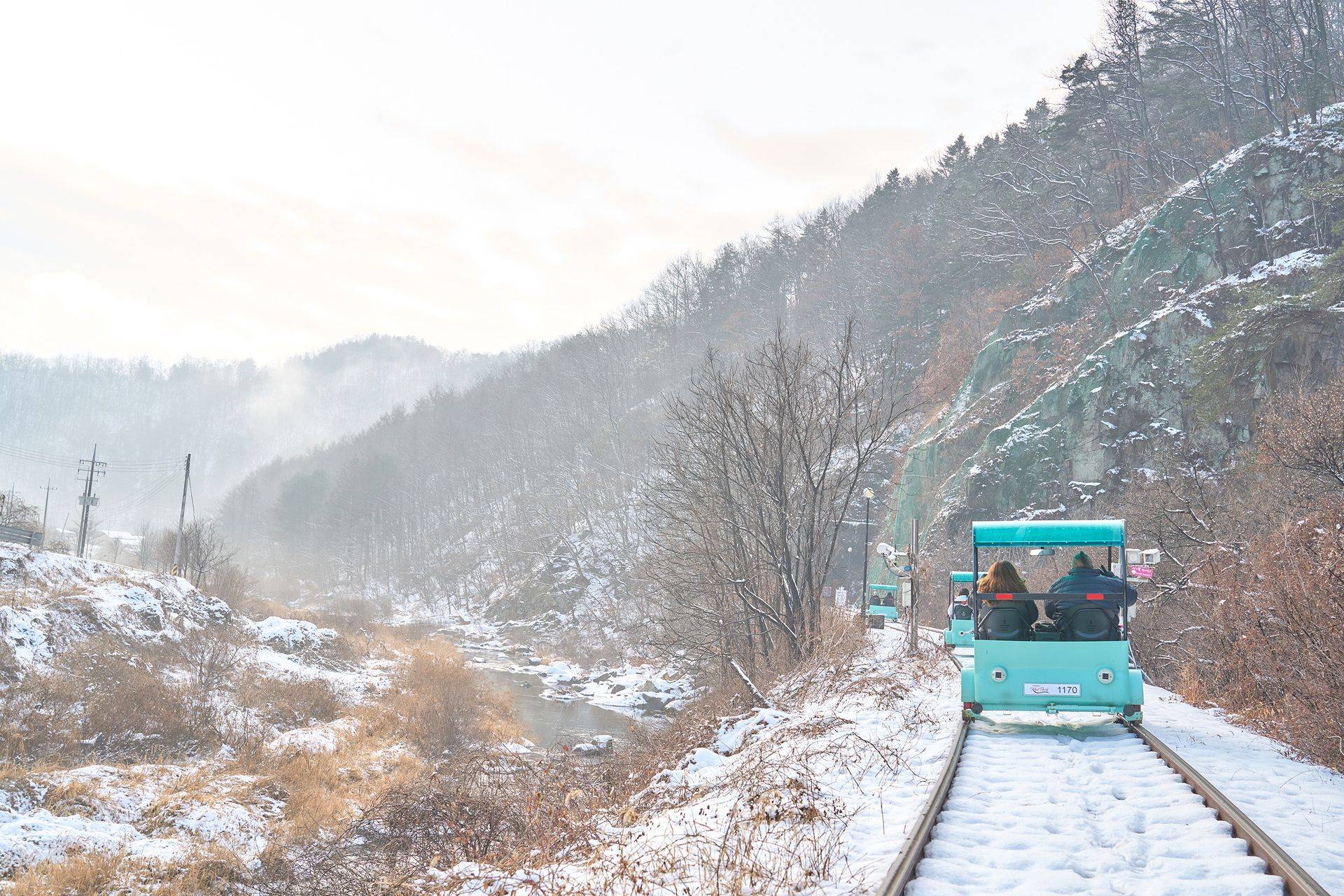 【首爾出發】南怡島+江村鐵道自行車+晨靜樹木園一日遊