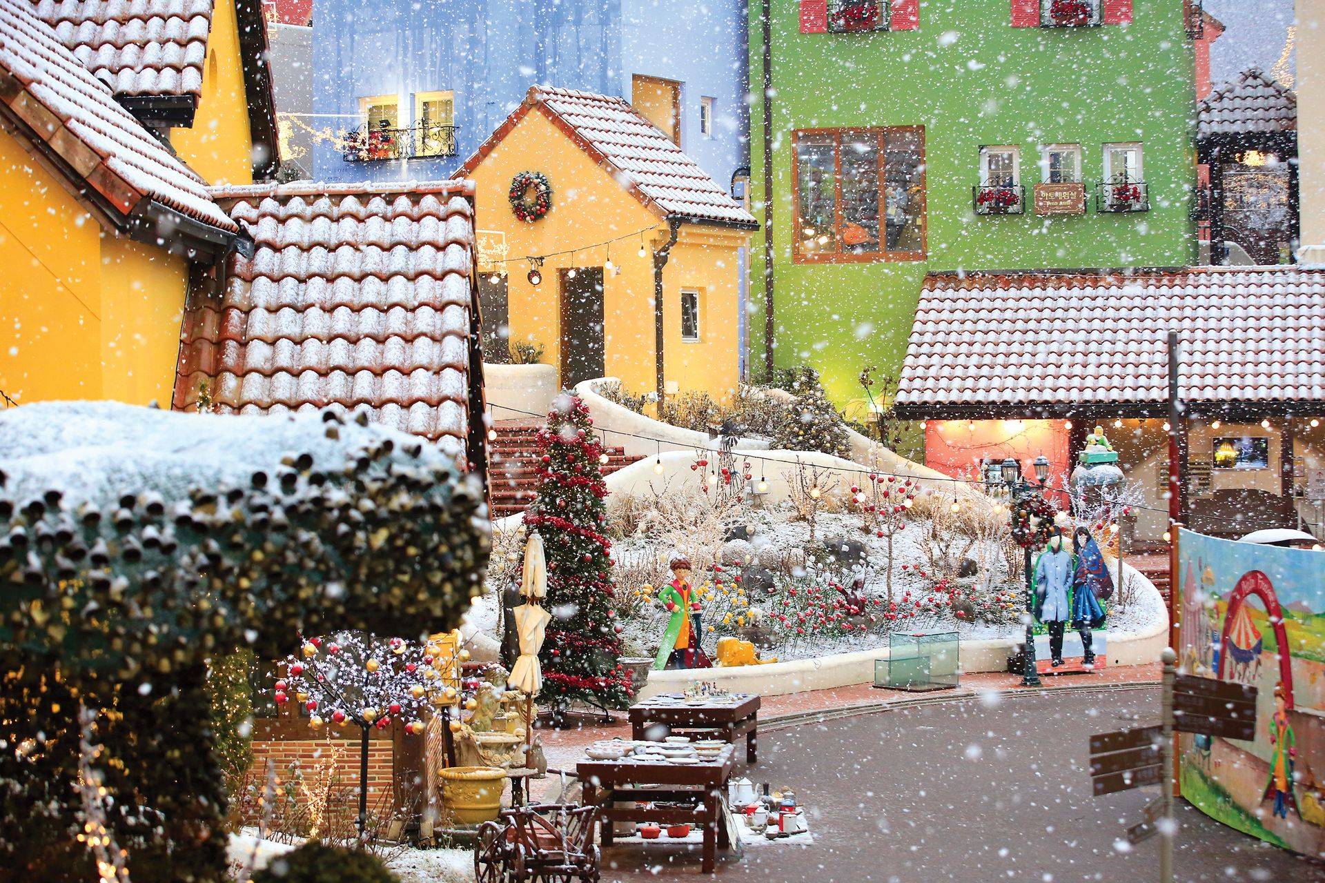 【首爾出發】南怡島+晨靜樹木園+小法國村&義大利村一日遊