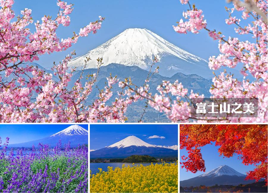 【泰超值東京溫泉5日】富士山景觀纜車、大石公園、忍野八海、豐洲千客萬來、新倉山淺間神社、麻布之丘