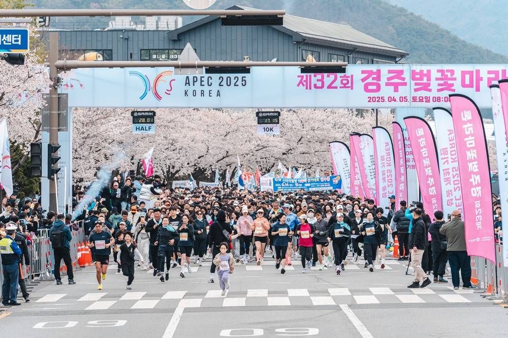 韓國慶州櫻花馬拉松 2026/04/04