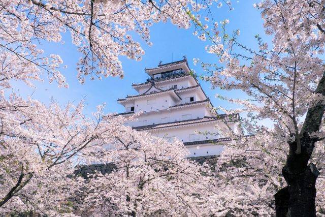 【連休東北賞櫻5日】松島銀山溫泉、若松城櫻花祭、登起波米澤牛、會津懷舊鐵道