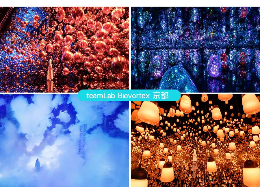 【出清一口價】泰饗趣花現三都5日、一晚五星、teamlab京都、璀璨花海、清水寺、嵐山叮叮車、螃蟹和牛龍蝦(泰獅)