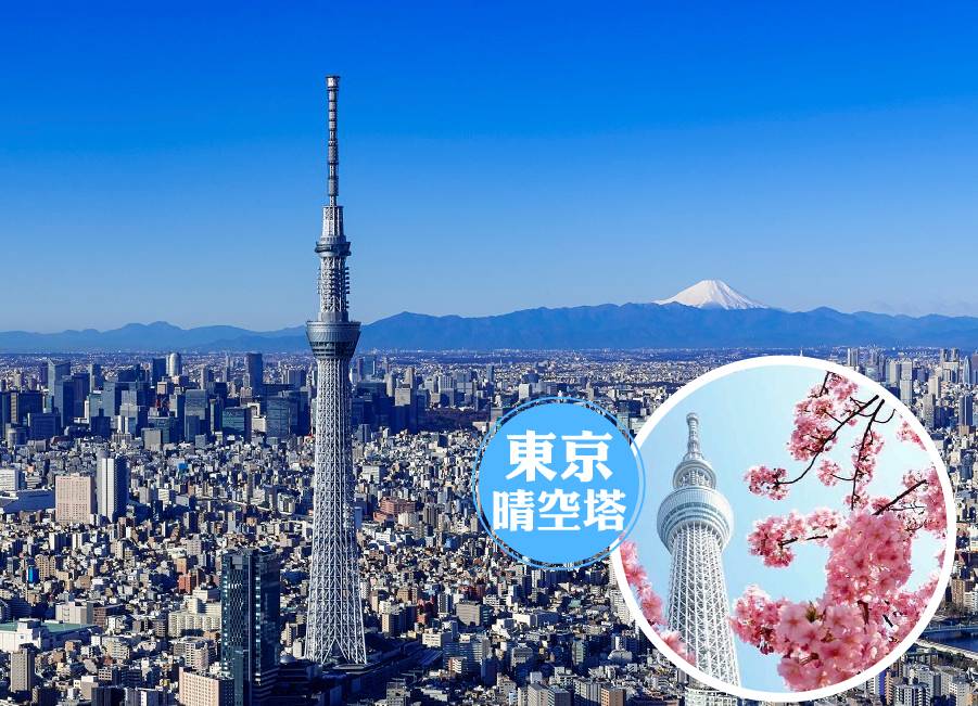 【絕美東京】浪漫輕井澤6日、LAVIEW列車、富士山纜車、敘敘苑燒肉、晴空塔展望台、雙溫泉(泰獅航）升等一餐螃蟹吃到飽