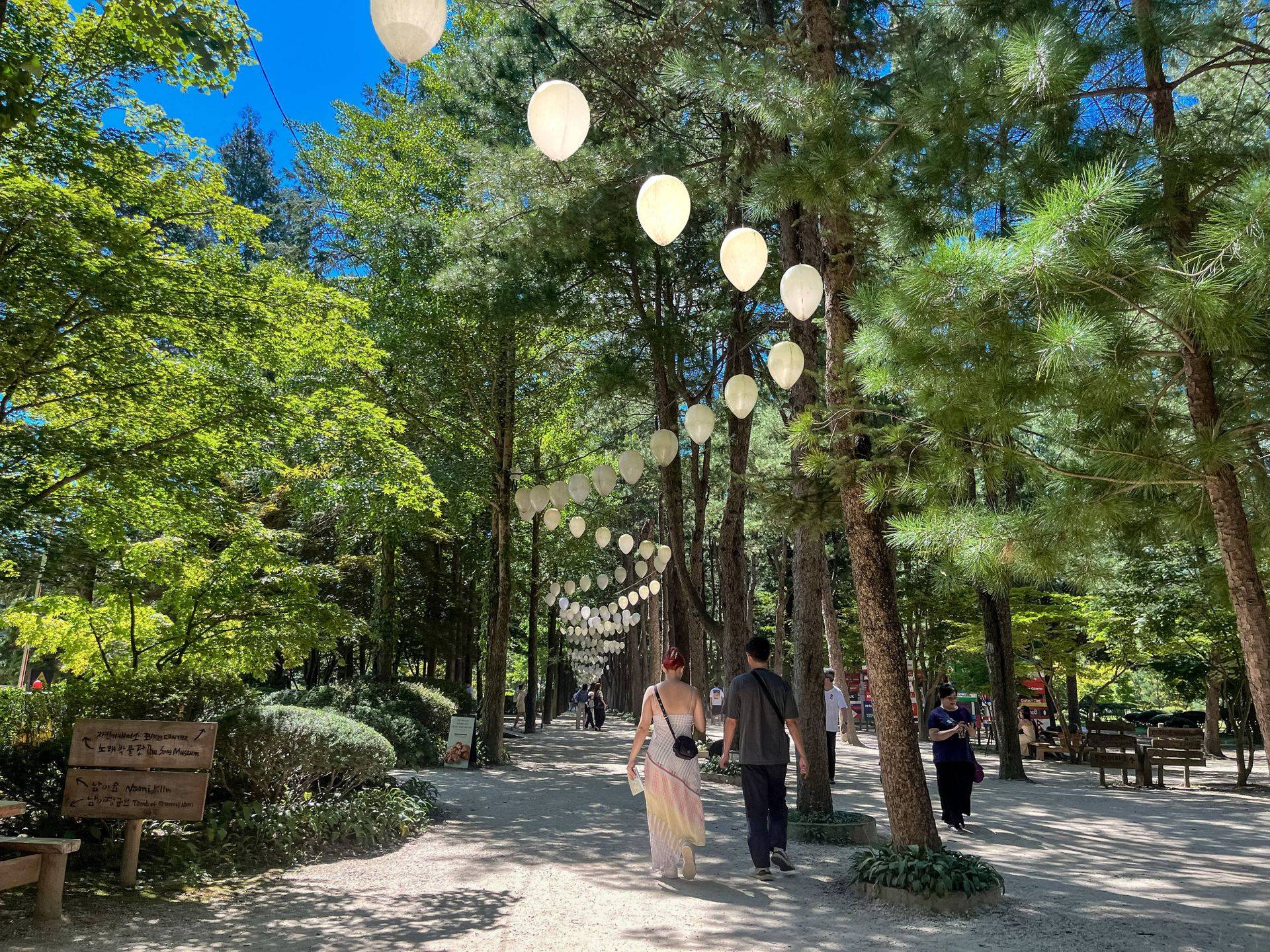 【首爾出發】南怡島+小法國村+義大利村+鐵道自行車+晨靜樹木園一日遊