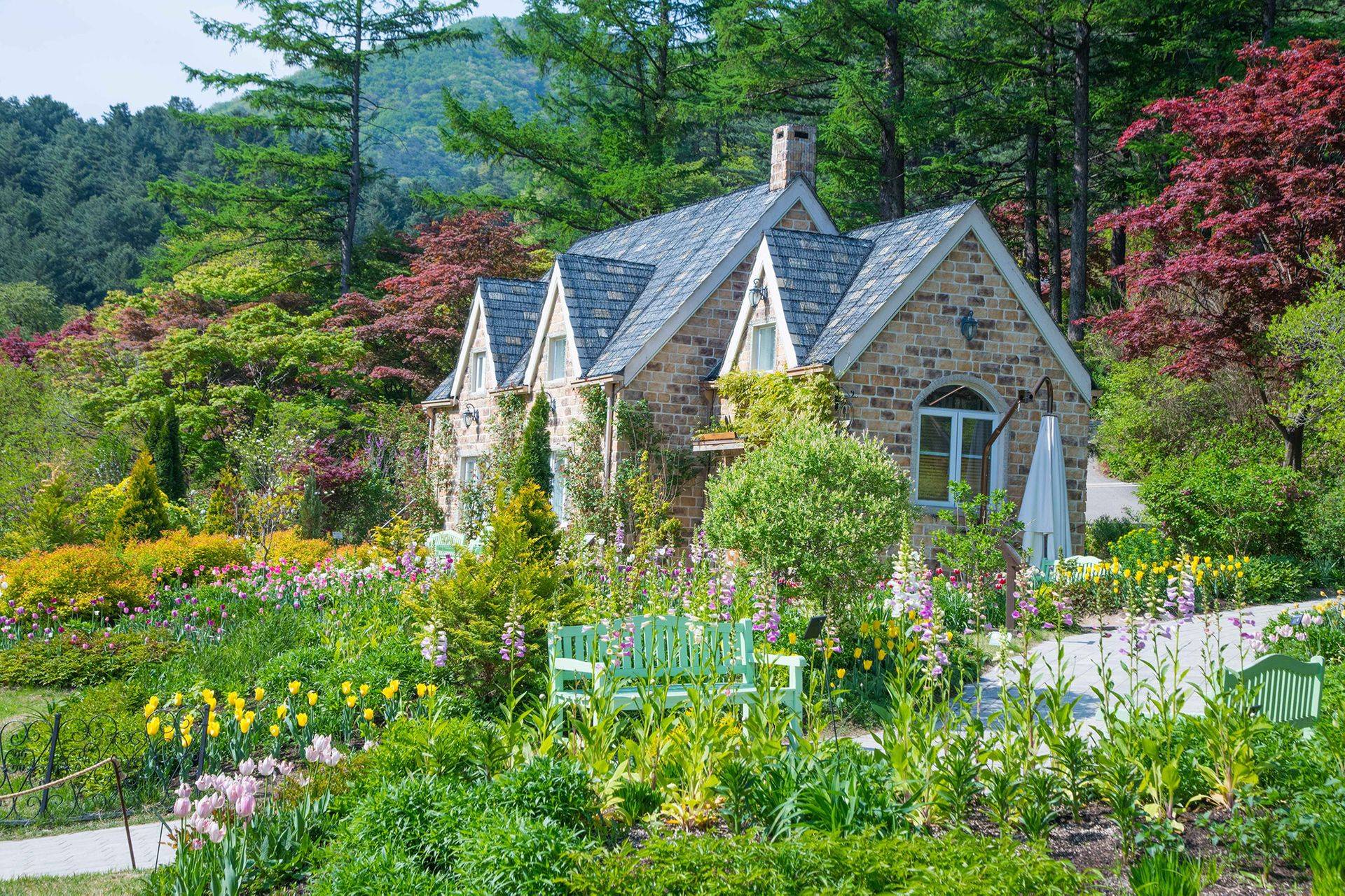 【首爾出發】南怡島+晨靜樹木園+小法國村&義大利村一日遊