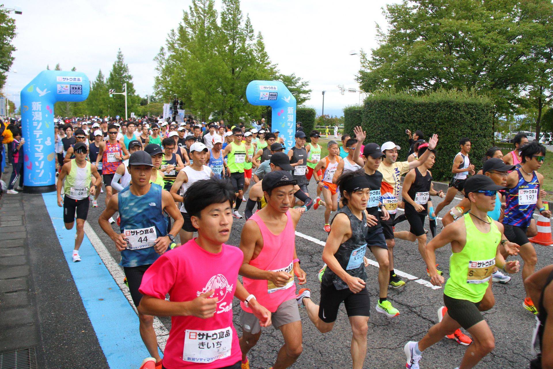 新潟馬拉松 2026/10/11
