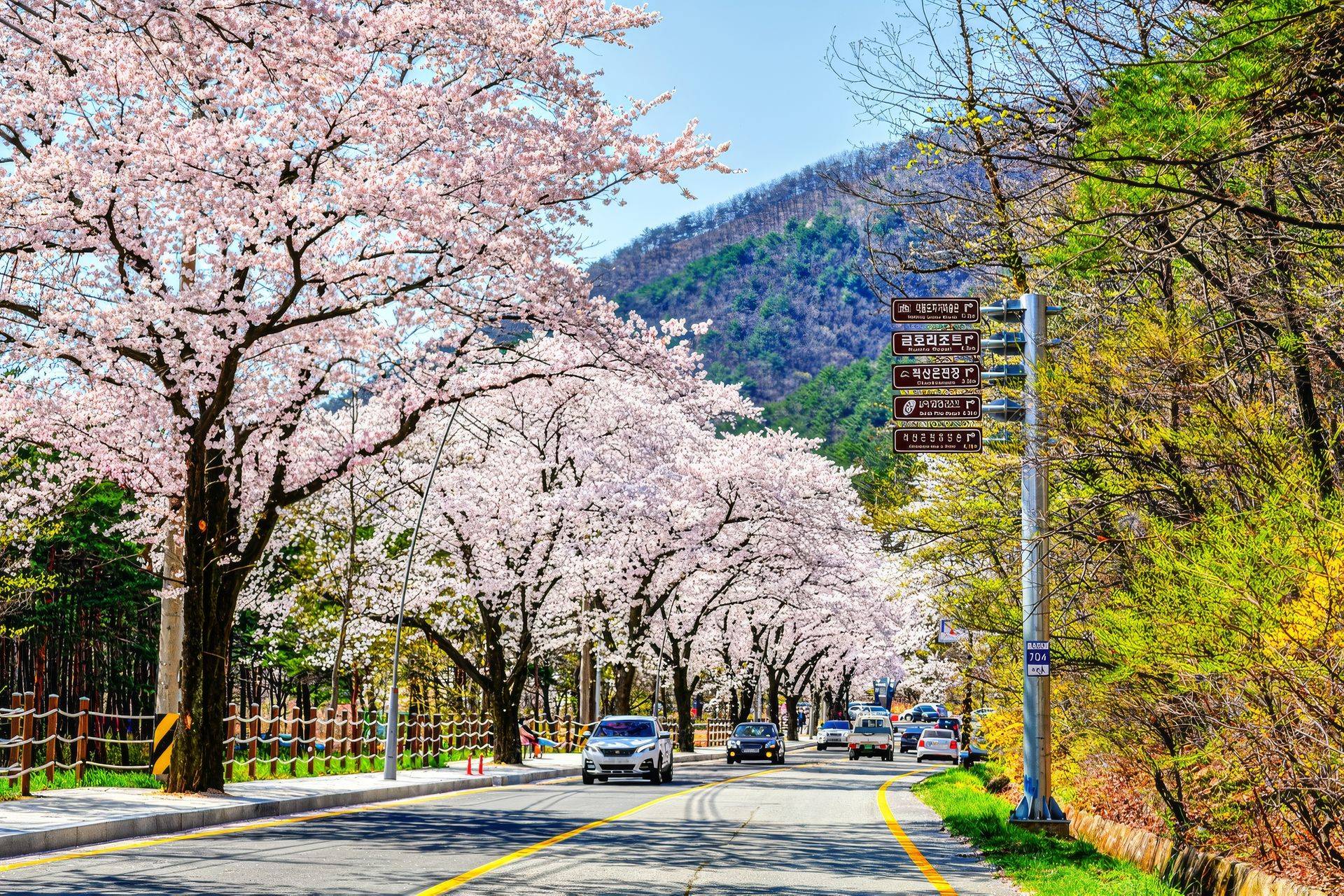 【首爾出發】南怡島+江原道雪嶽山一日遊