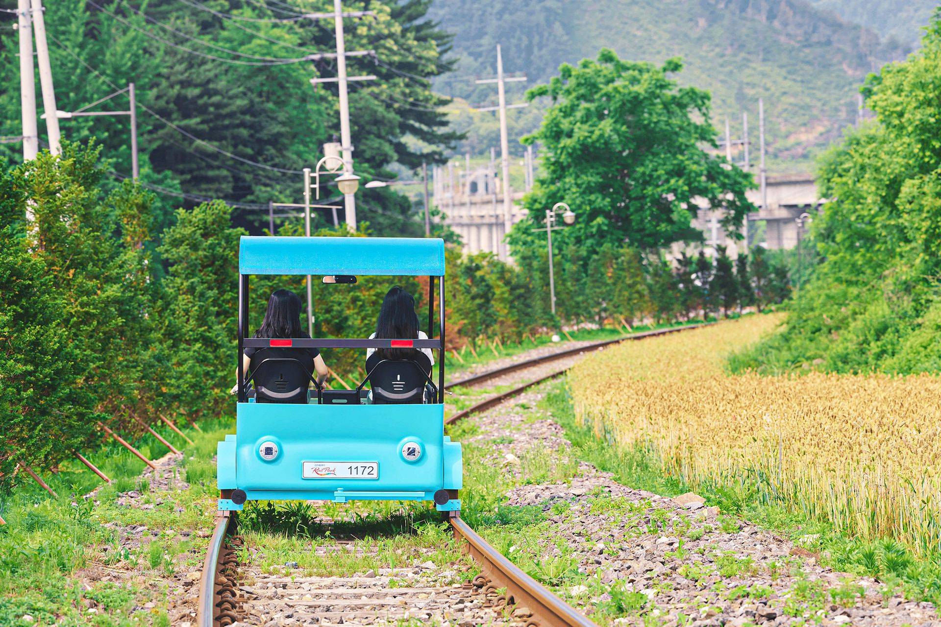 【首爾出發】南怡島 + 江村鐵道自行車一日遊
