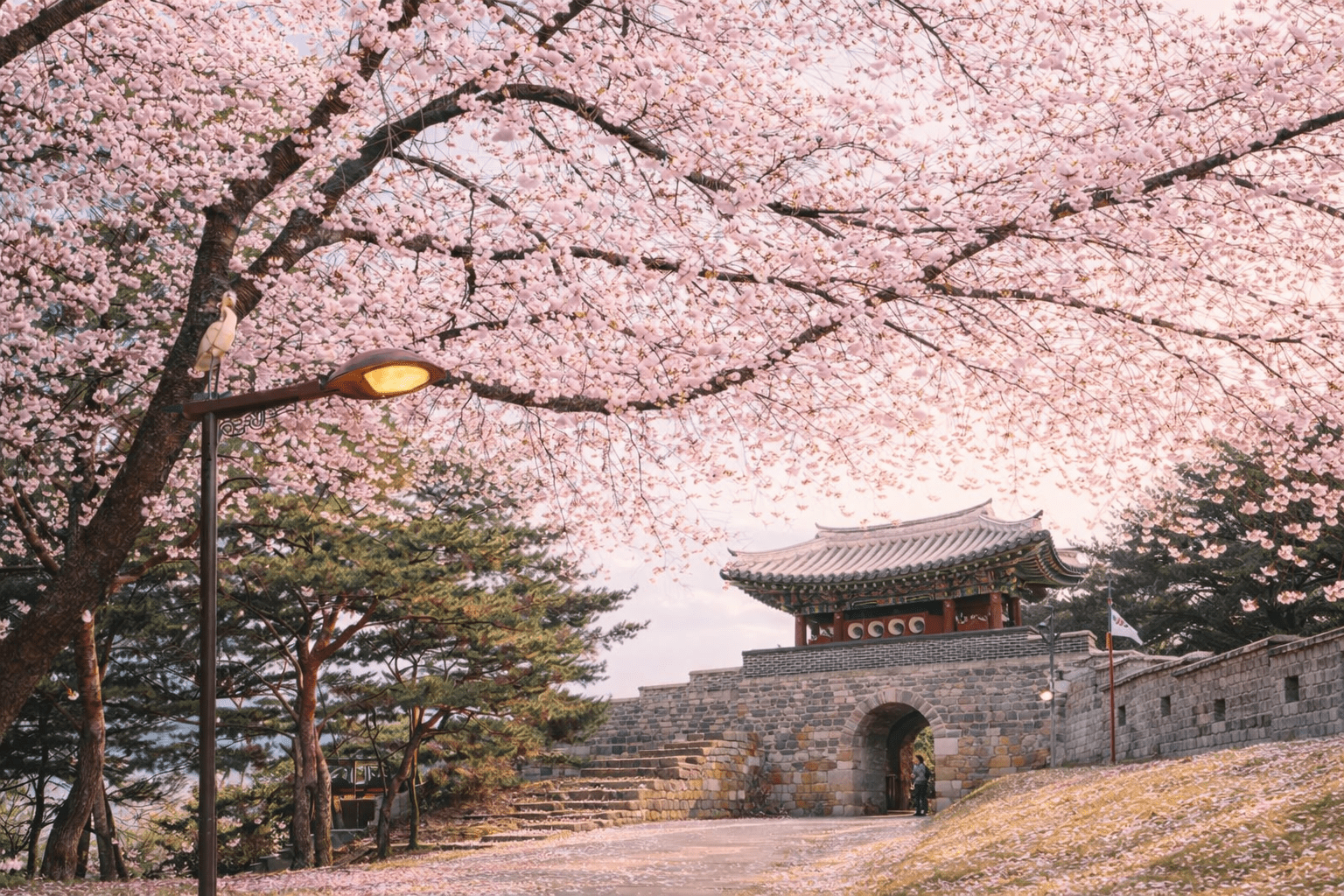 【首爾出發】走進韓國人的日常生活：水原華城 & 韓劇拍攝地一日輕旅