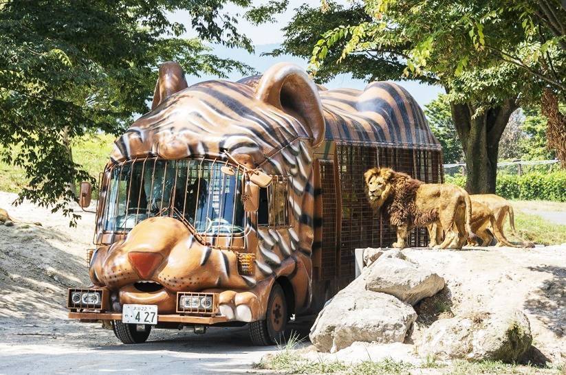 【九州雙溫泉5日】久住花卉、海之中道水族館、湯布院、佐賀牛