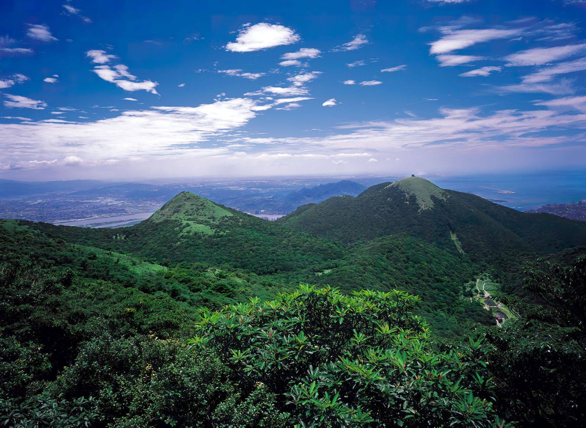 image-2