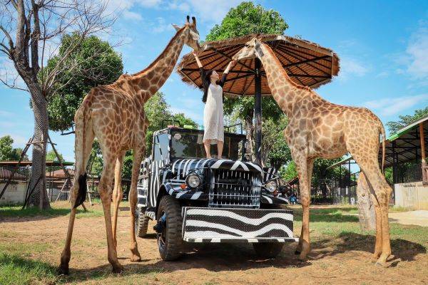 【曼谷跟團半自助】大城動物園、安帕瓦府漫遊、小象飯糰餵食、龍蝦燒烤吃到飽5＋1日