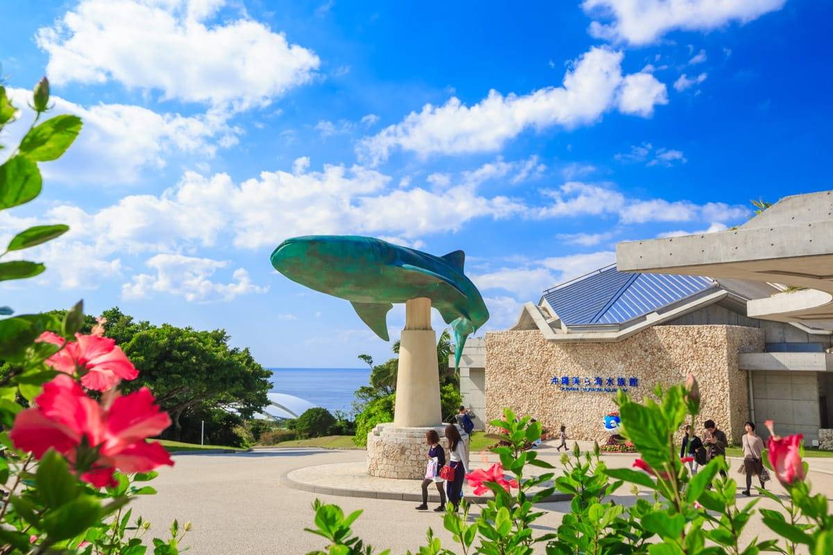 美麗海水族館 (Okinawa Churaumi Aquarium)