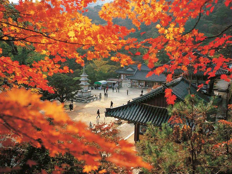 【首爾楓花雪嶽】雪嶽山纜車、紅葉波波草、首爾天空公園、三晚國際五星五日